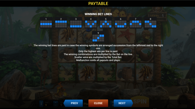 Характеристики слота Robinson 6